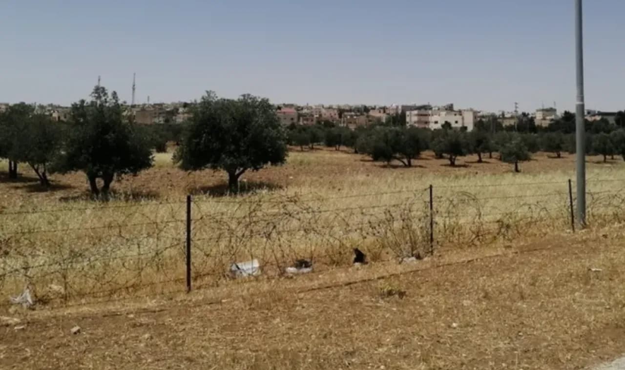 Al-Karak's Islamic Endowment Land Impact