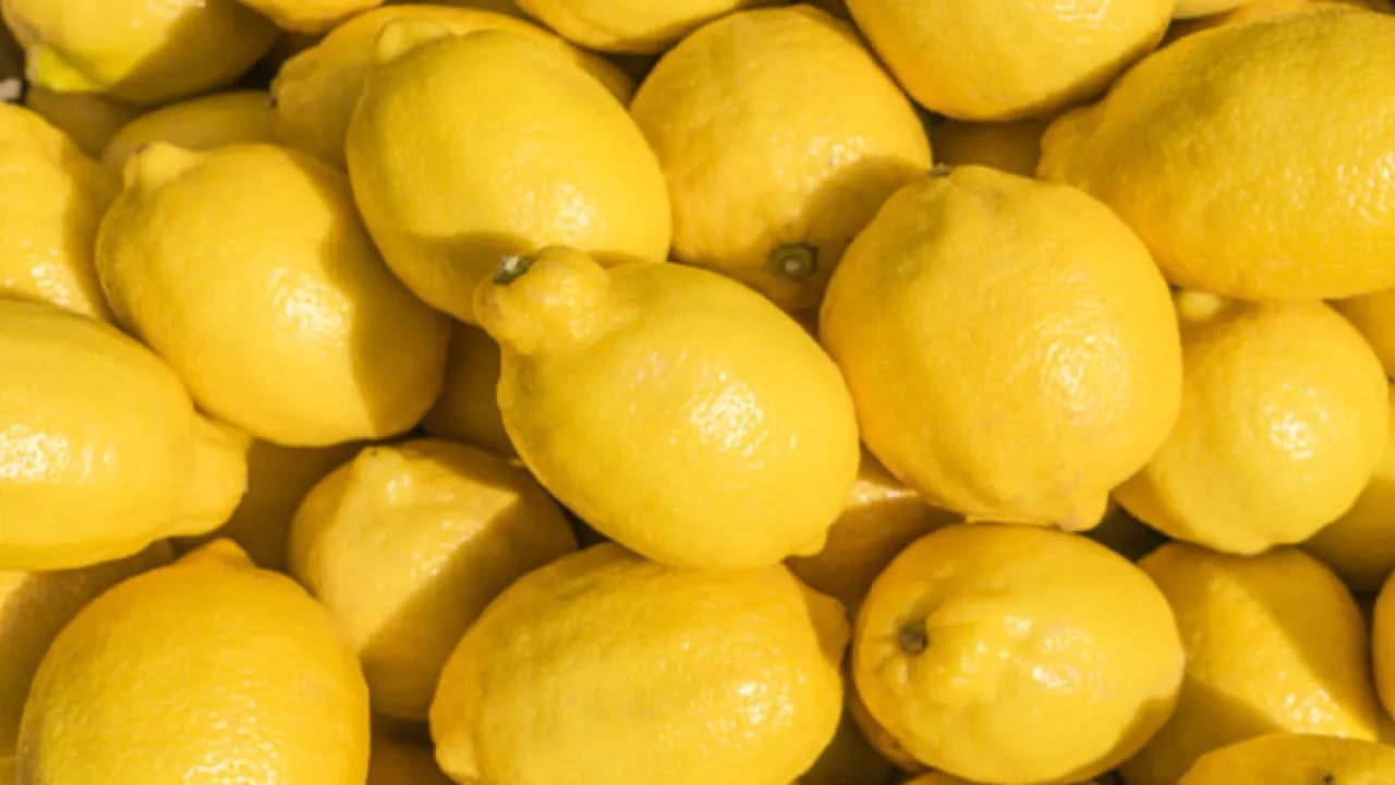 Al-Ghazawi: Import Lemon Sales No Longer Allowed