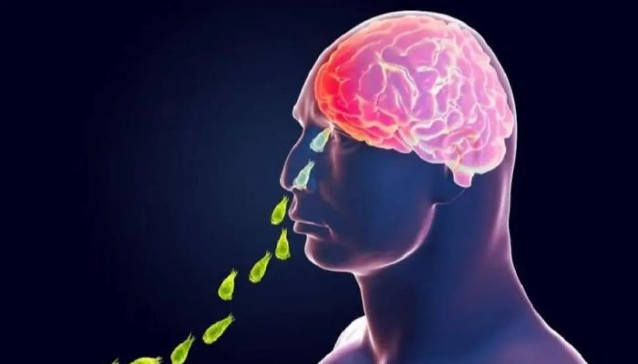 وفيات جديدة بسبب الأميبا في أمريكا