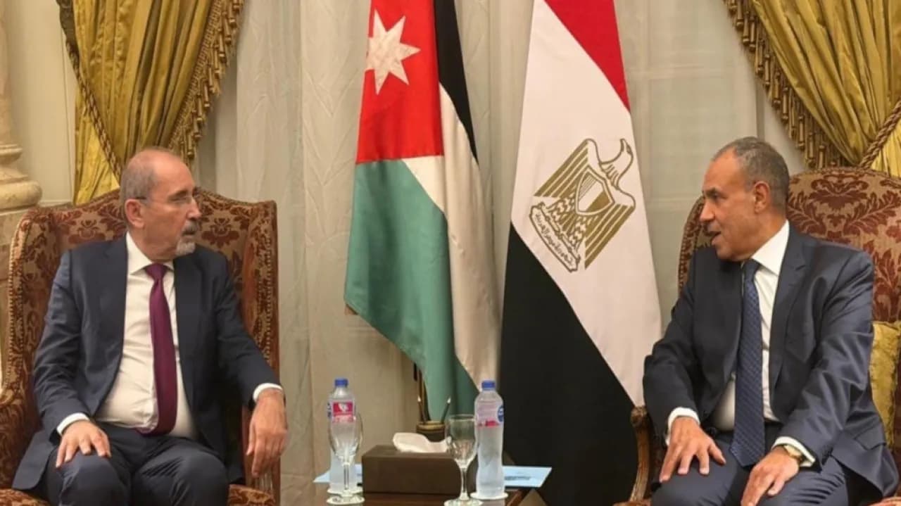 الصفدي ومصر يناقشان تحضيرات اجتماع الجامعة