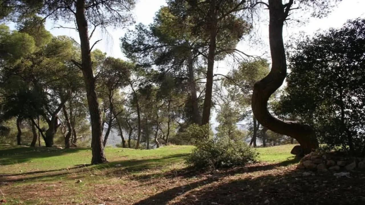 Dibeen Reserve Raises Entry Fee to Protect Nature