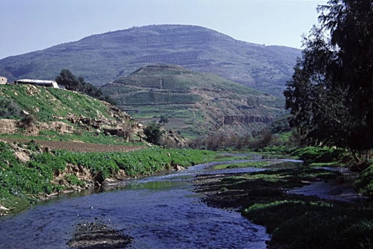 باحث يبرز وادي الزرقاء كنموذج للثروة الأحفورية