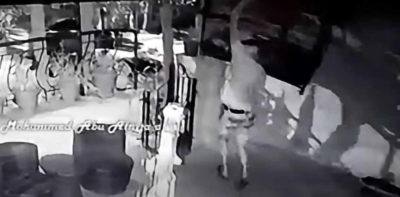 سرقة ببغاء في عمان مقابل 500 دينار