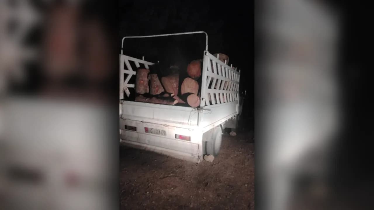 Greesh Agri confiscates 10 tons of firewood