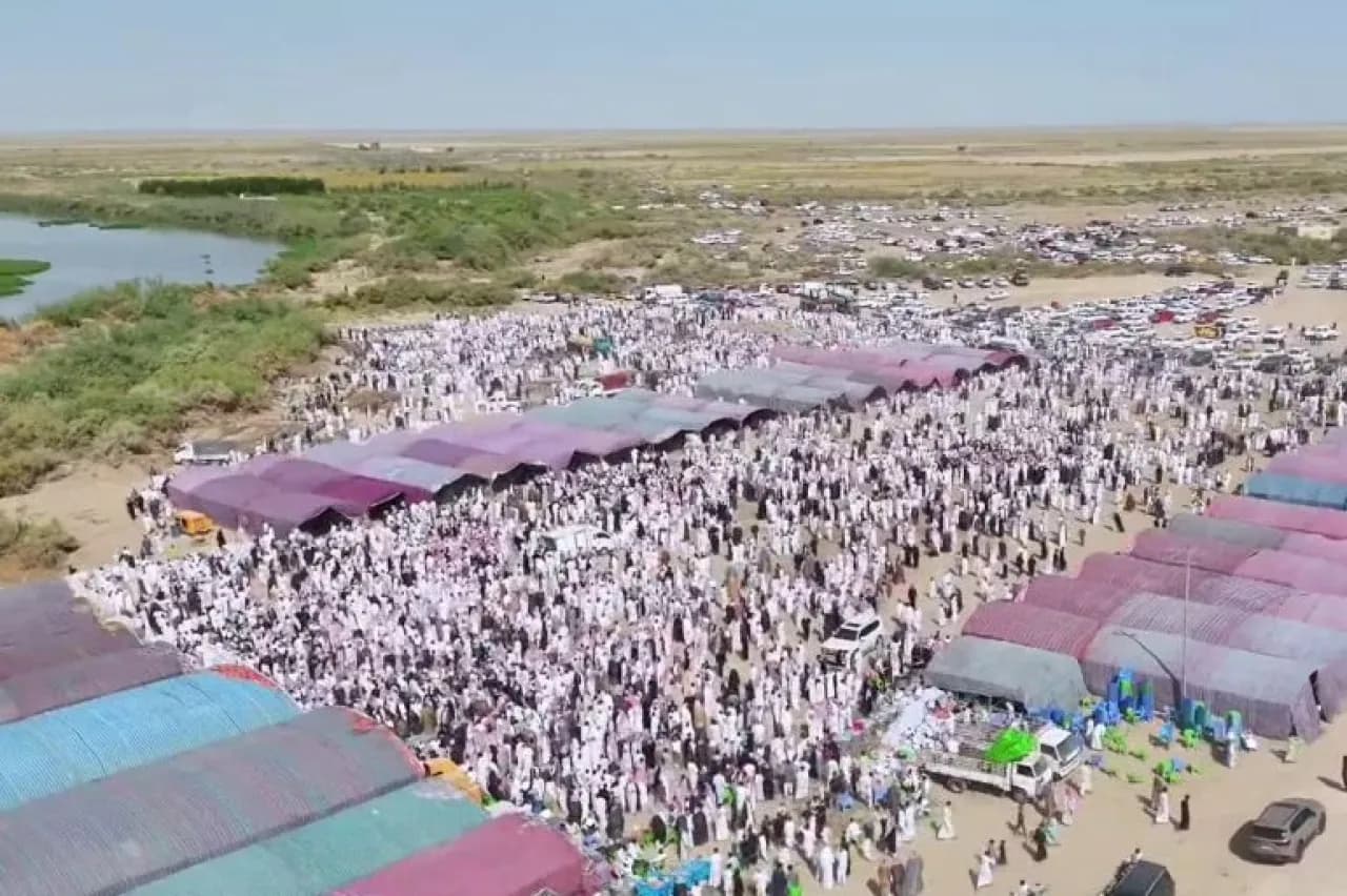 Iraq hosts large sheep and camel feast