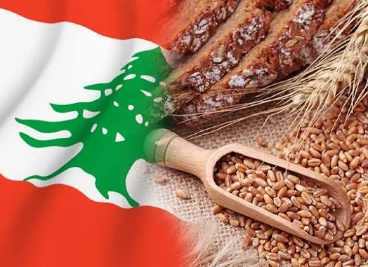 40 شاحنة قمح لبنانية تنتظر التصدير إلى الأردن