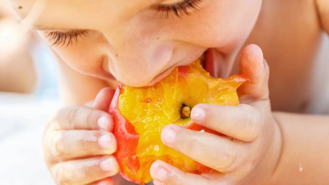 Greek peaches exported to Jordan