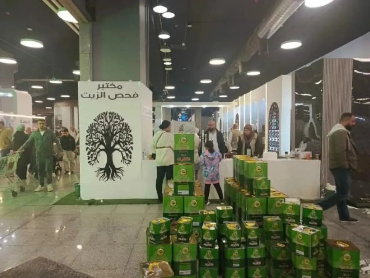 الأردن يمدد تسجيل مهرجان الزيتون