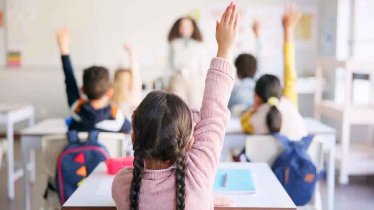 Private Education Classification System Launched