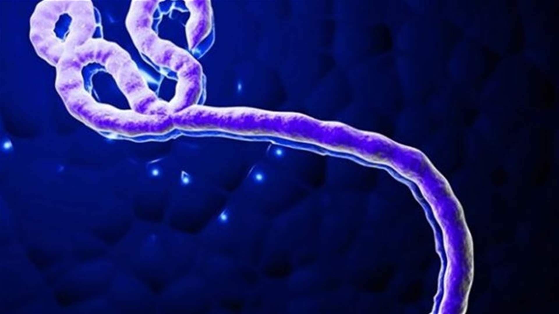 منظمة الصحة للأمريكتين تجهز لمواجهة إيبولا