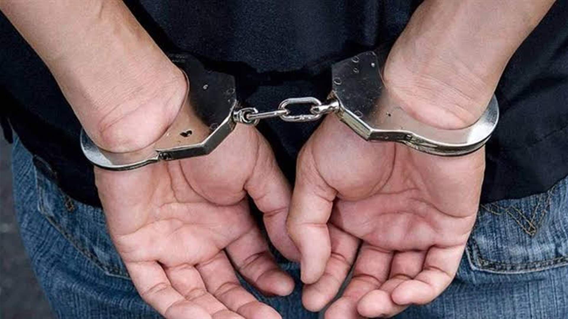 Two People Detained for Fake Syrian Licenses