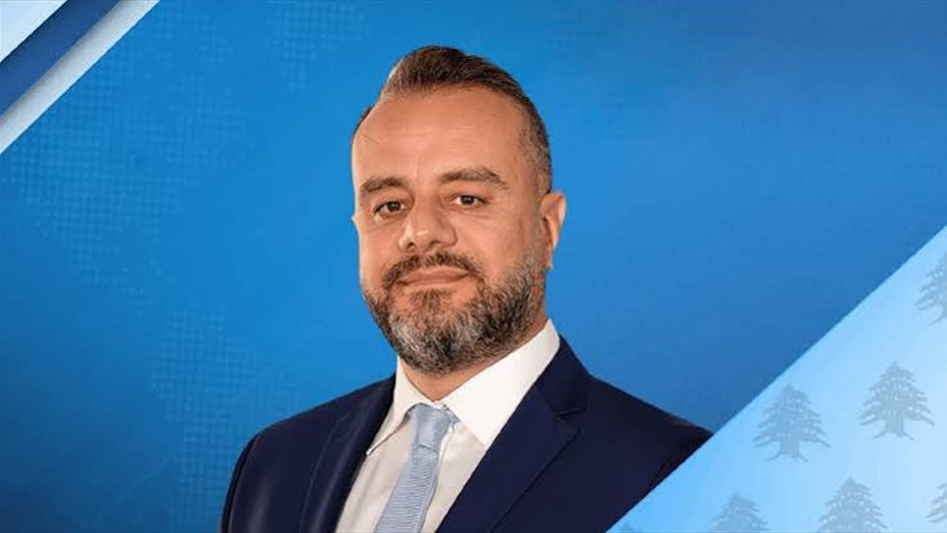 عبد المسيح: فتح الأجواء الأمريكية للبنان مهم