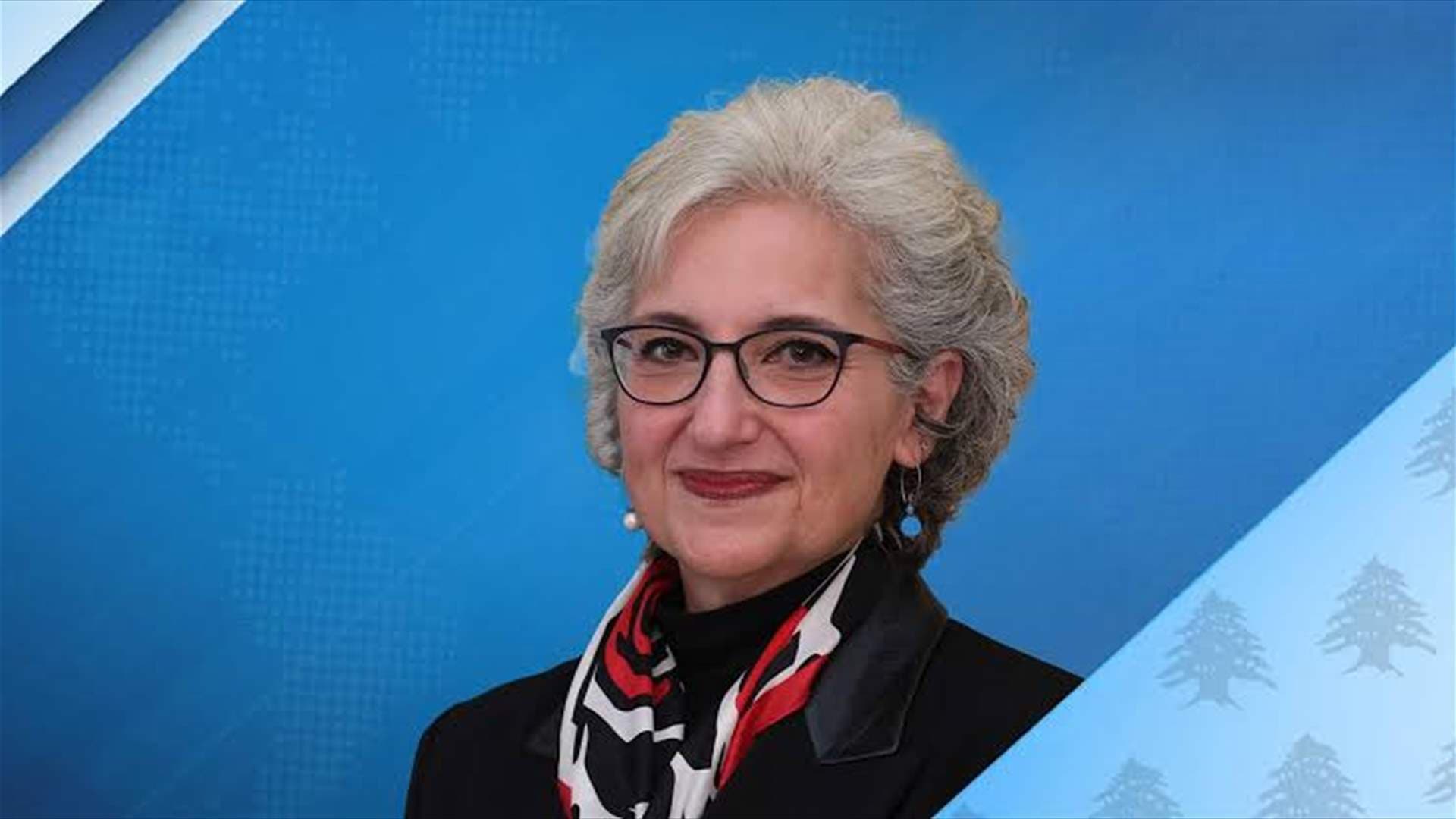 Education Minister and Ambassador Magro discuss Lebanese students' fee exemption