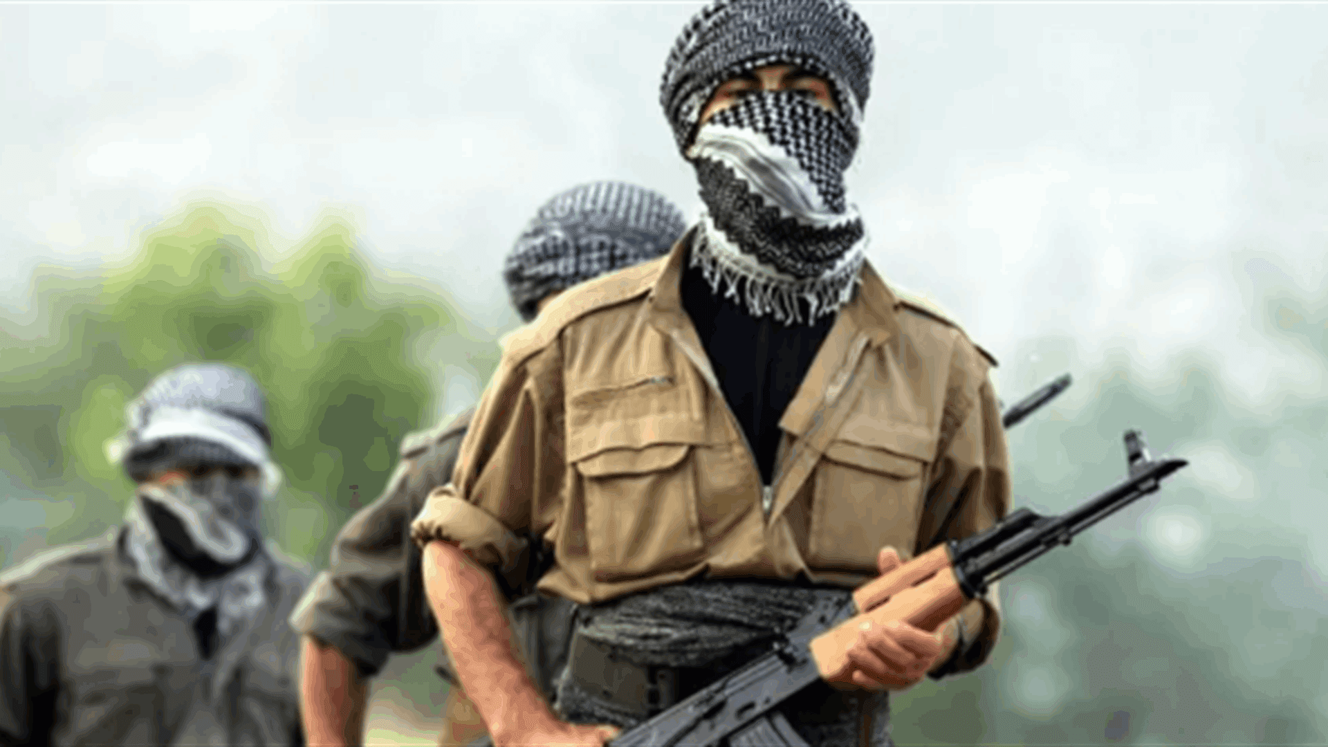Turkish parliament approves law on PKK fighters