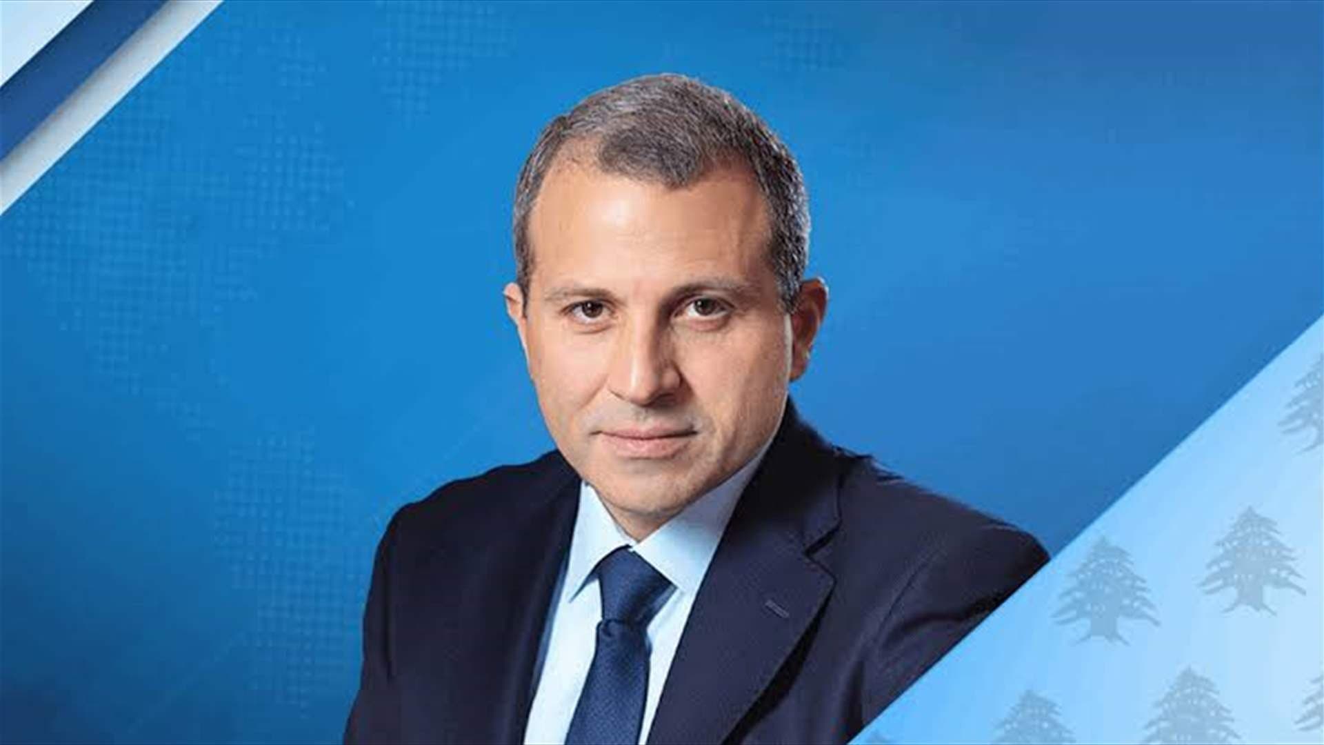 باسيل يعتزم الطعن بقانون العفو العام