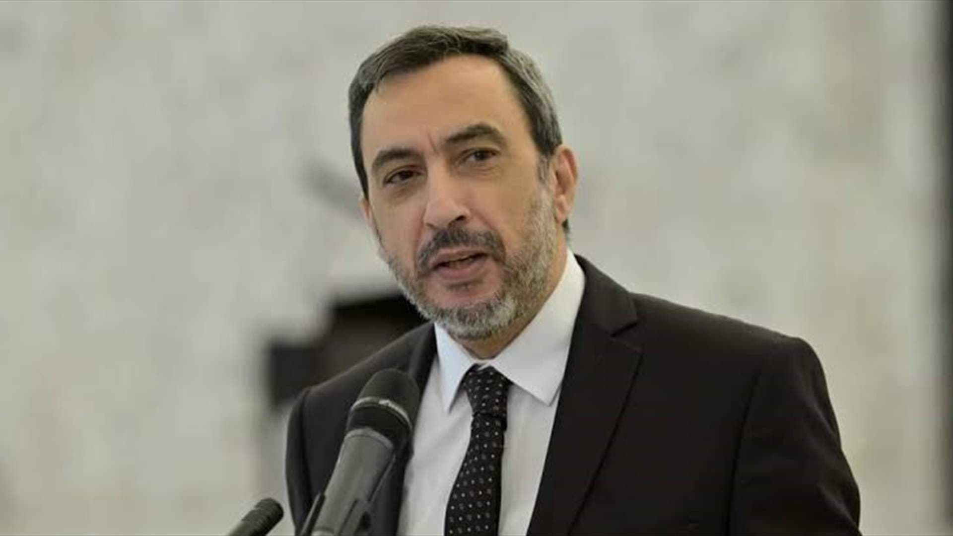 Beirut's disarmament implementation needed
