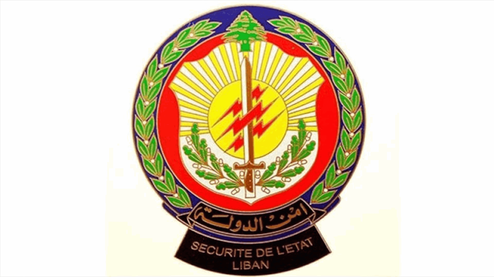 أمن الدولة يساعد وزارة الزراعة على فحص مسالخ اللحوم في صبرا وشاتيلا