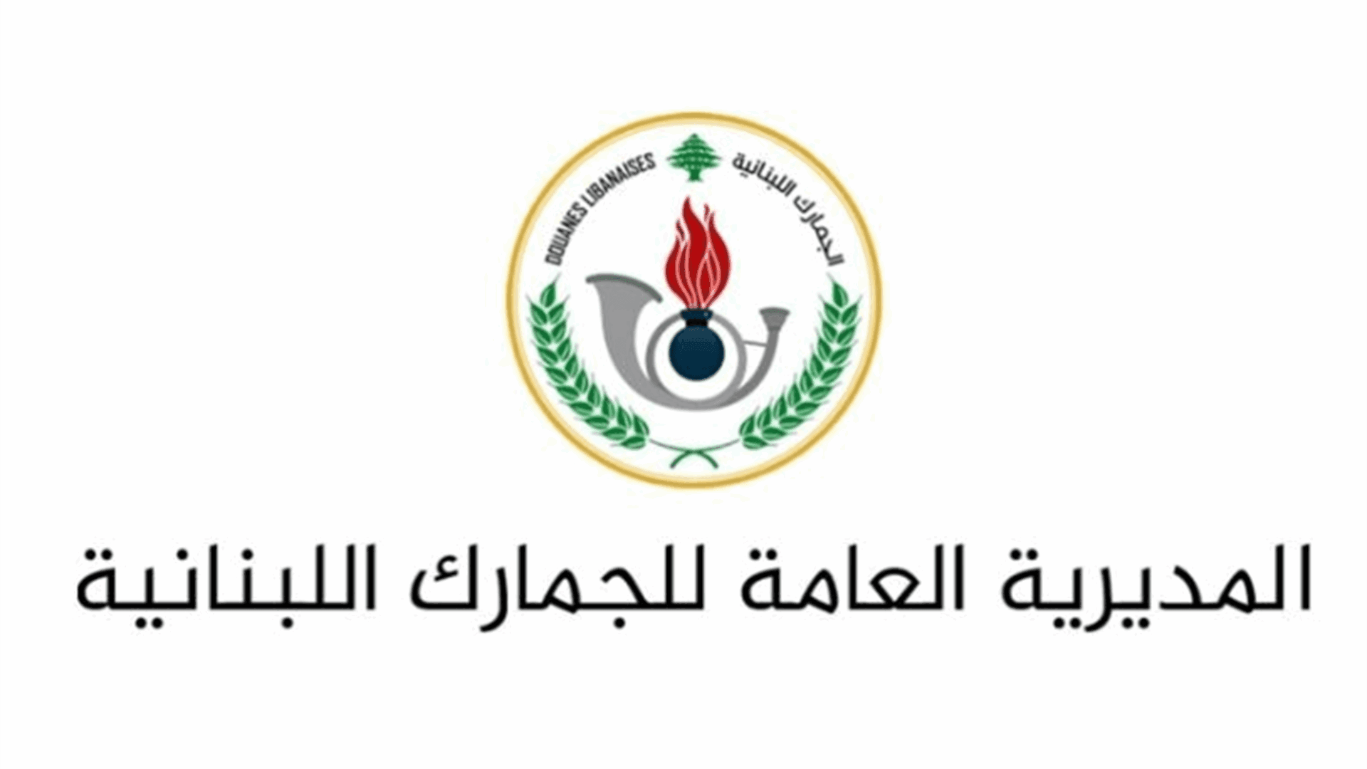 الجمارك تضبط حقنة تجميل مهربة في المتن