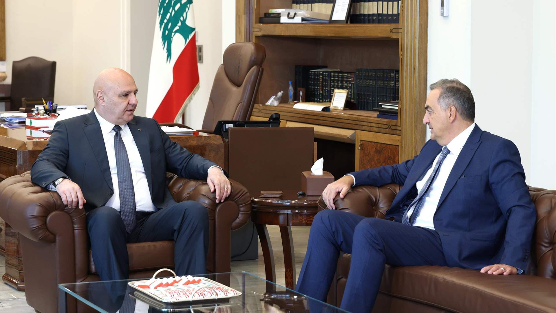 Aoun Questions Hayek on Electricity Plant Needs
