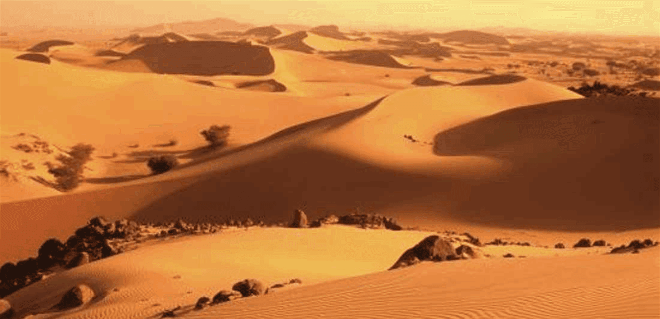 فرحة العيد تتحول إلى مأساة بقضاء 49 عطشى