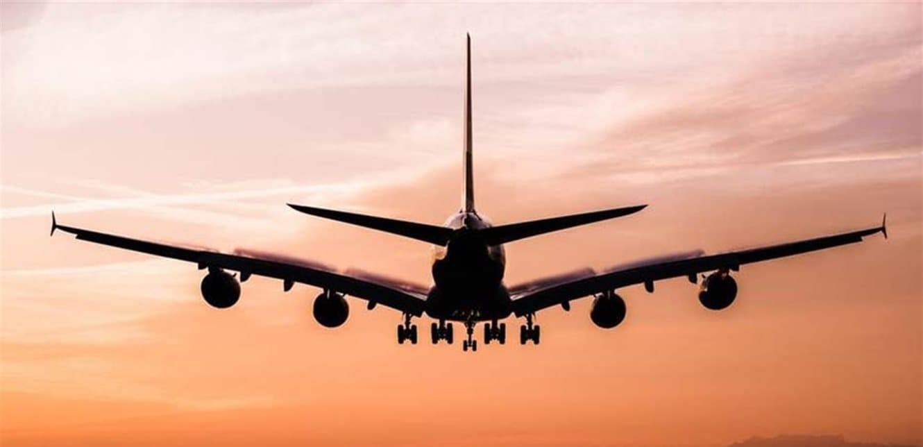 Mosquito Swarm Causes Unexpected Incident Inside Airplane (Video)