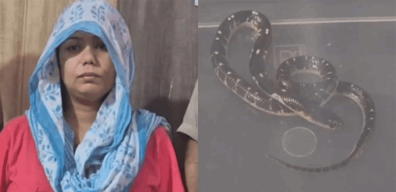 India's Shocking Snakebite-Linked Murder