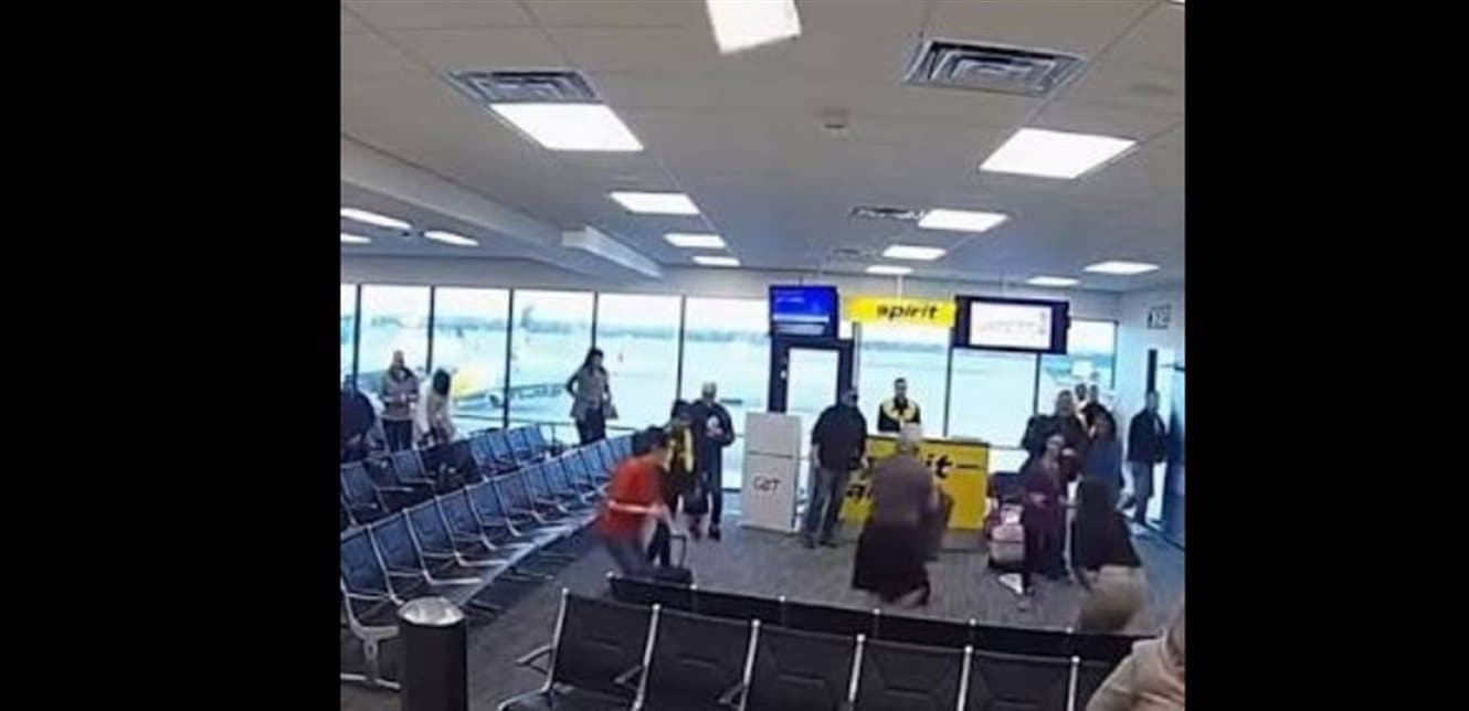 Travelers face chaos as animal drops from airport ceiling