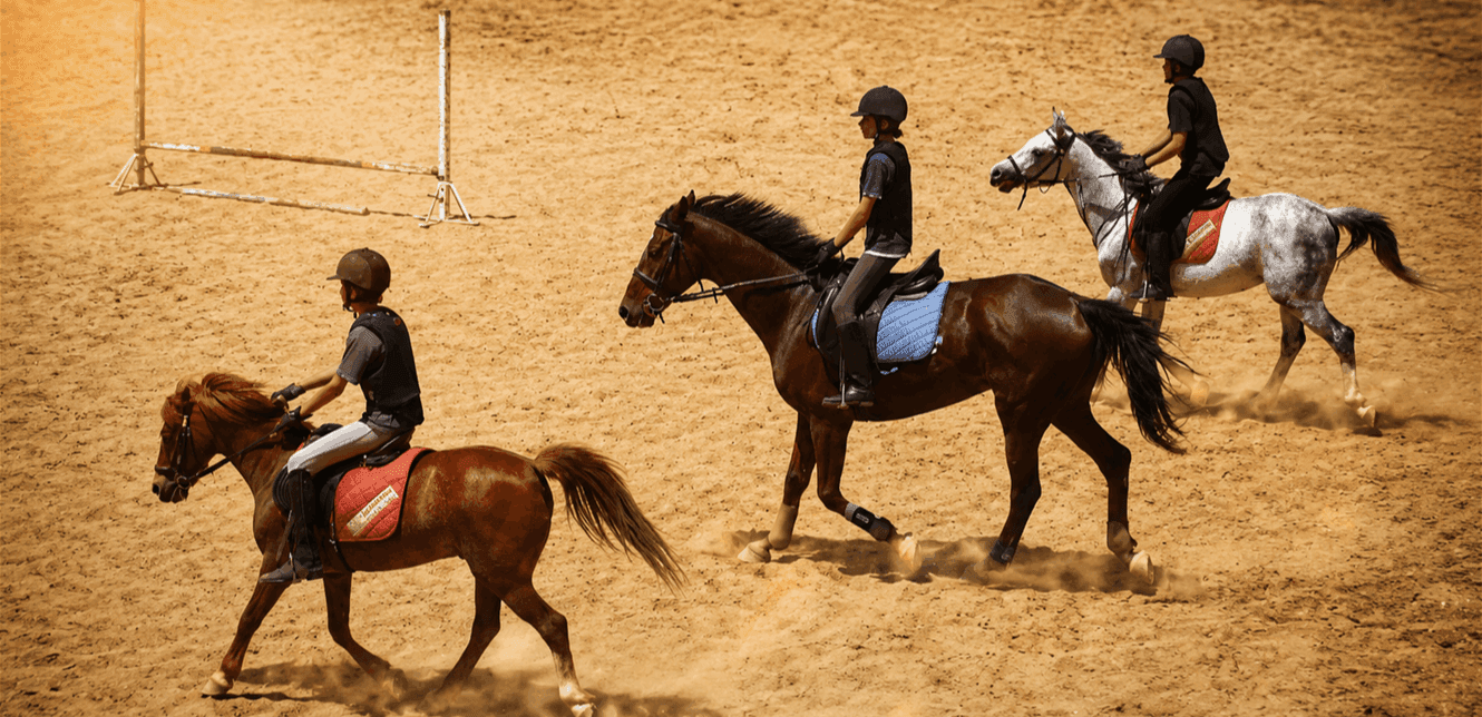 Lebanese Arabian horses face extinction due to war