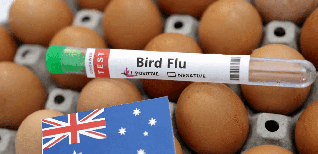 Bird flu detected in Australia