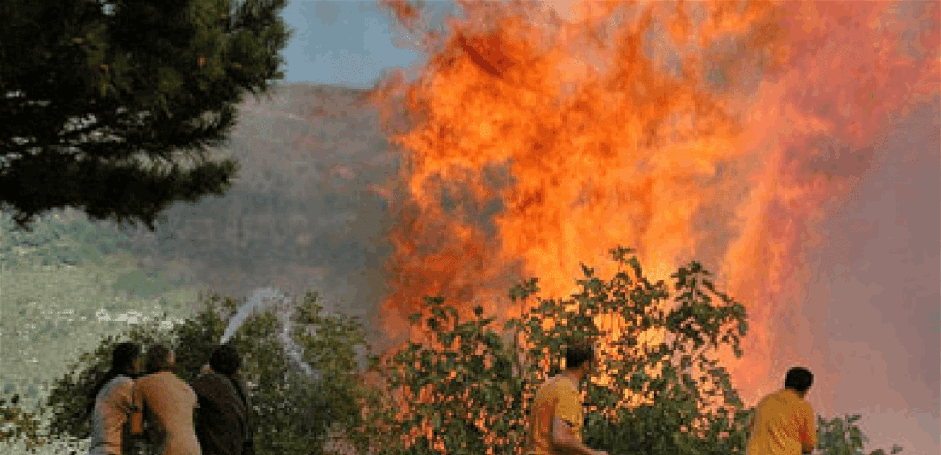 Zain launches forest fire prevention campaign