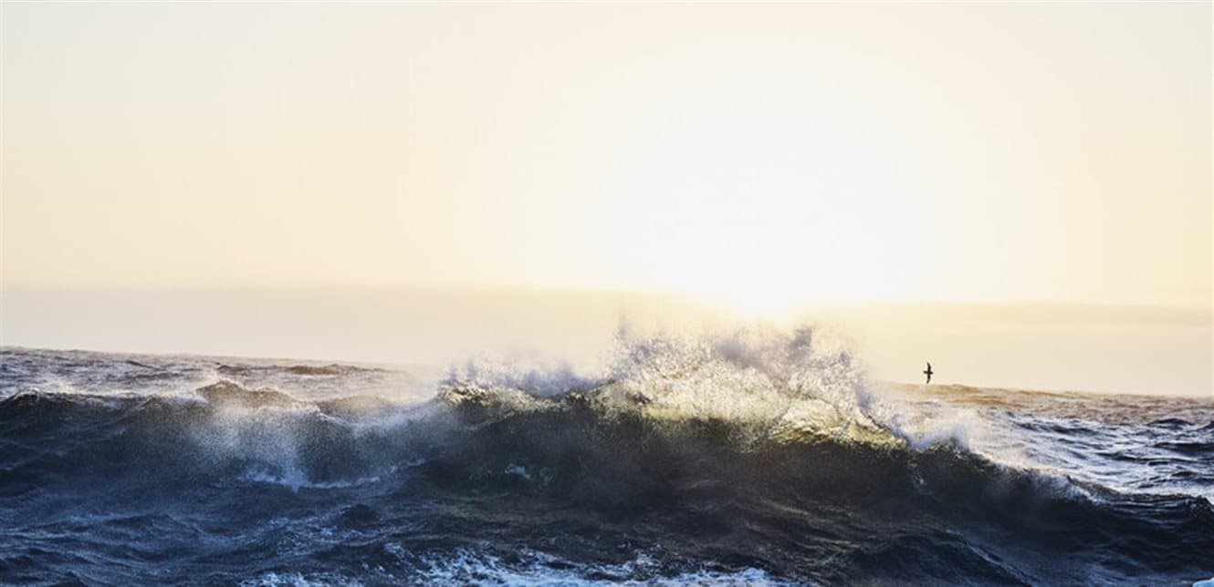 Urgent Alert: Developments in the Southern Ocean