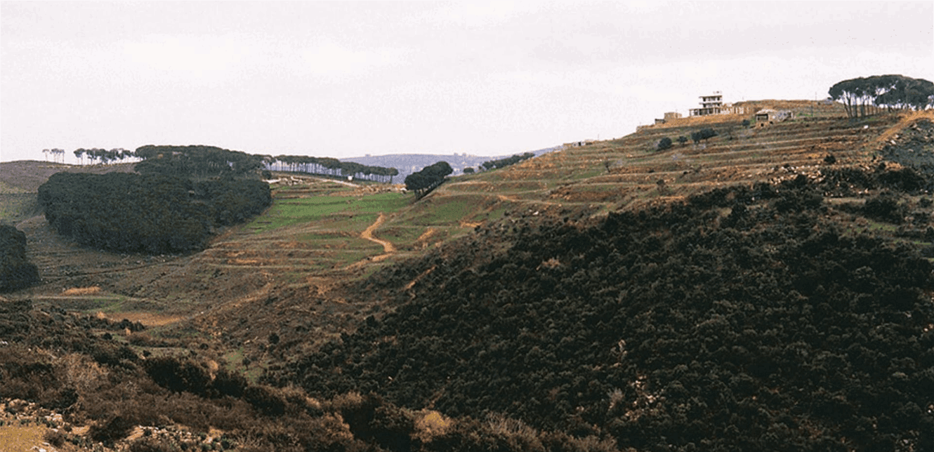 Basil Mountain and Area in Rome Talks