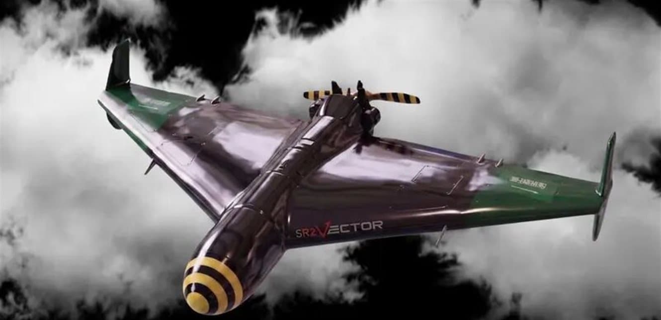 Sky wasp in Sana'a planes