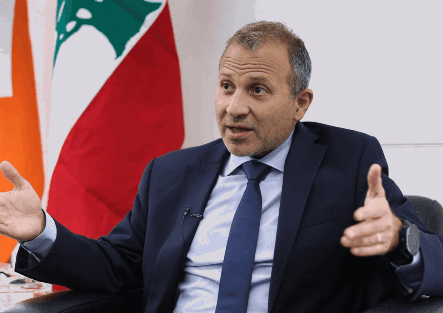 Bassil's response to Court's amnesty ruling