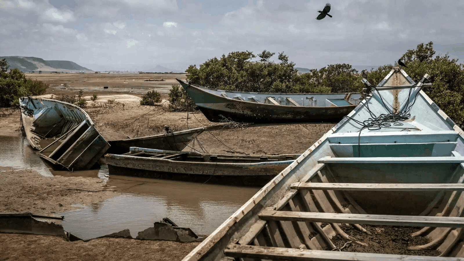 12,000 African migrants reach Yemen amid conflict