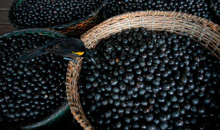 Foods with higher antioxidant benefits than blueberries