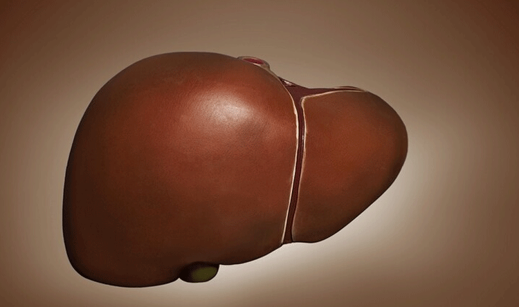 Pancreatic cancer vaccine shows promise