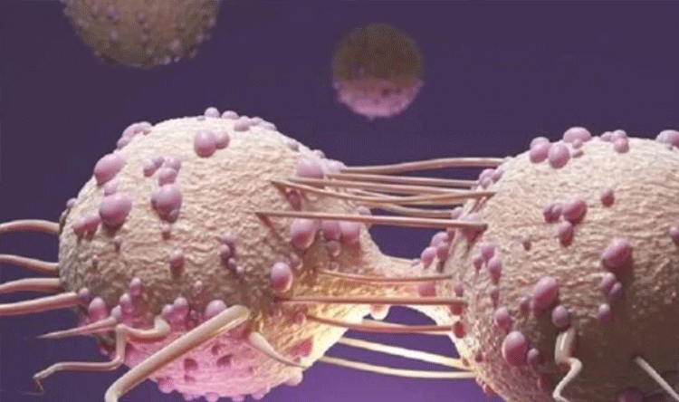 Ozempic and Cancer Risk Reduction