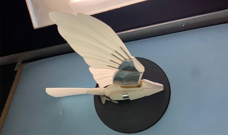 Bird simulation may transform drone design