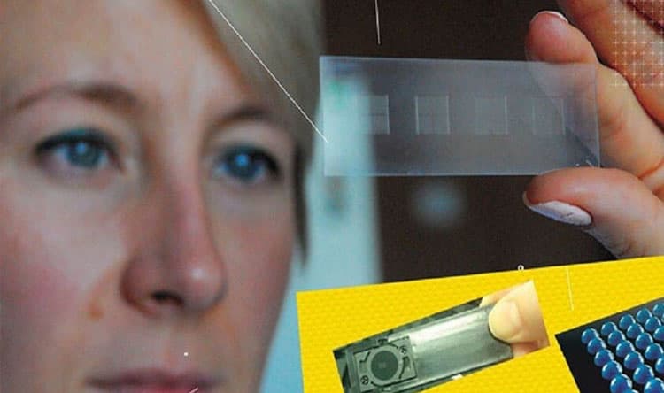 Russia's First Biological Chip for Alzheimer Risk