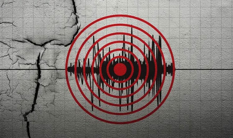 زلزال يضرب المنطقة الشمالية في نيوزيلندا