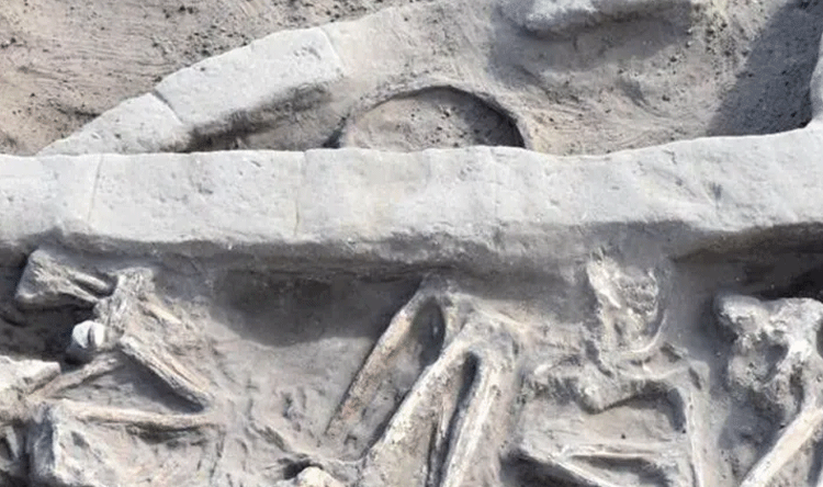 Lebanese Forces Announce Archaeological Find