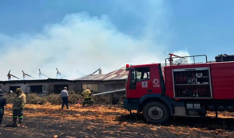 Fire Contained at Taanayel Hay Storage