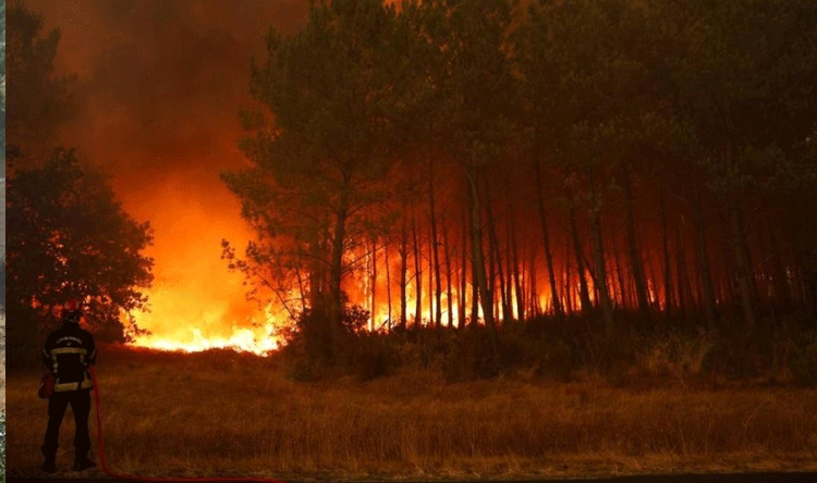 Wildfires Affect France and Spain