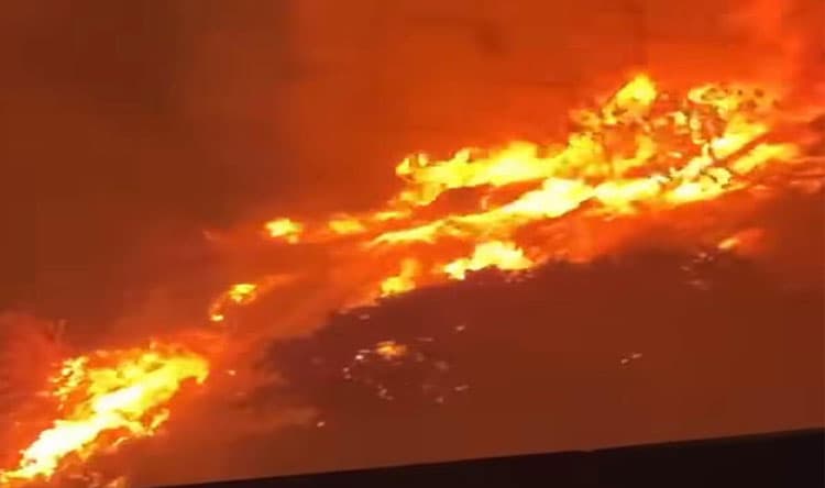 Forest fire in Ras Messqa Al-Koura