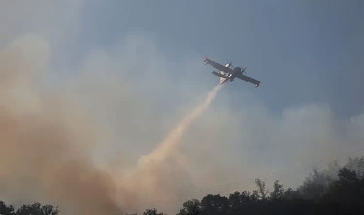 Forest Fires Shift Course in France