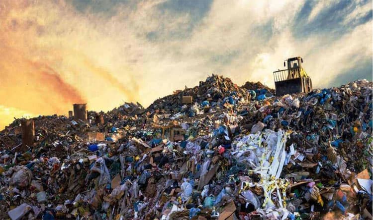 Beirut Waste Export Concerns