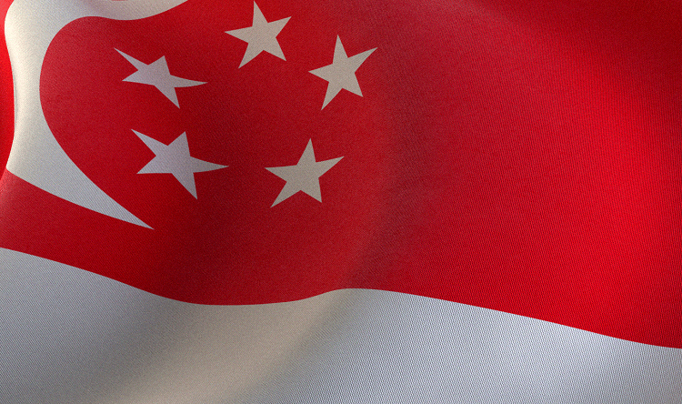 Singapore initiates large family support program