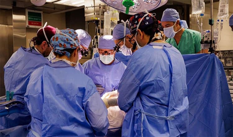 Man Lives 9 Months in Pig's Kidney