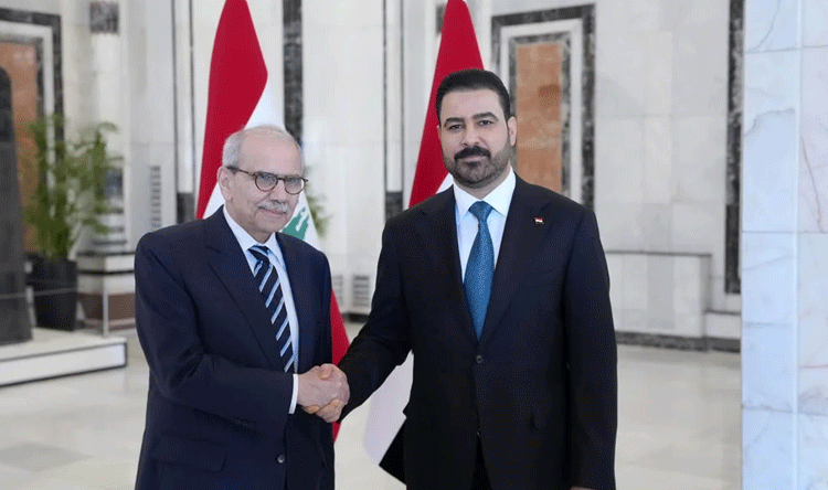 الجانبان يتعاونان لمواجهة التحديات